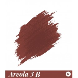 Pigment Hanami Areola 3B